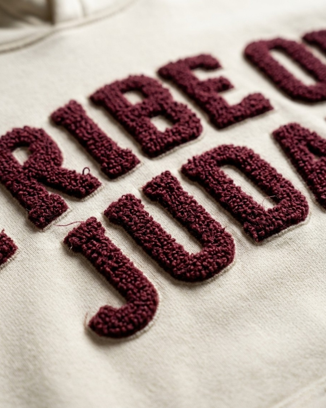 The Tribe of Judah Chenille Hoodie